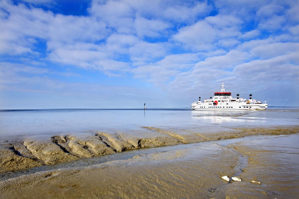 B&B De Pastorie Bij Dokkum Reitsum Экстерьер фото